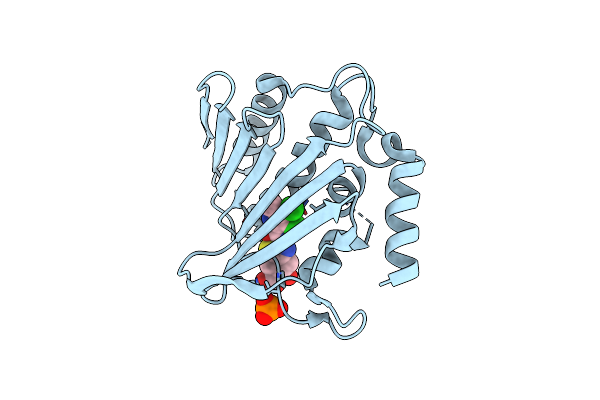 7P2N image