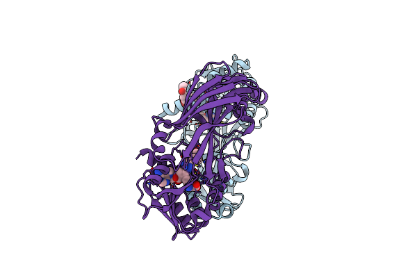 7P2R image