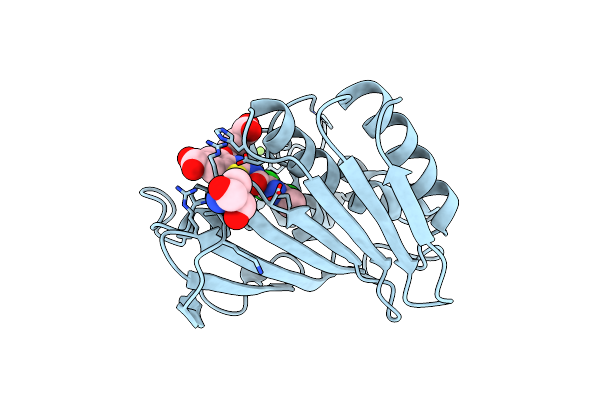 7P2W image