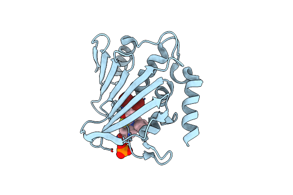 7P2X image