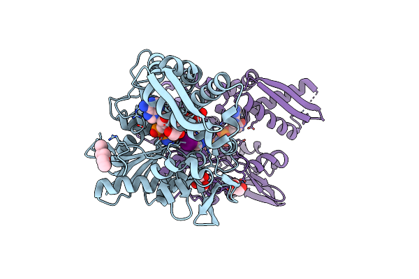 7P31 image