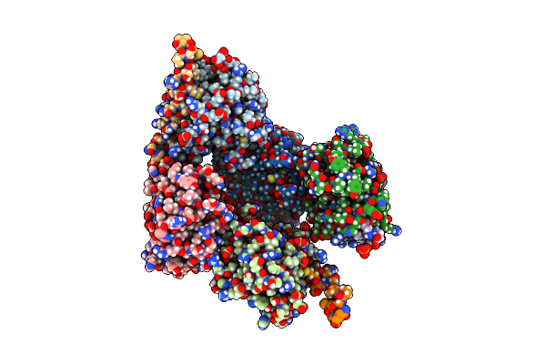 7P33 image