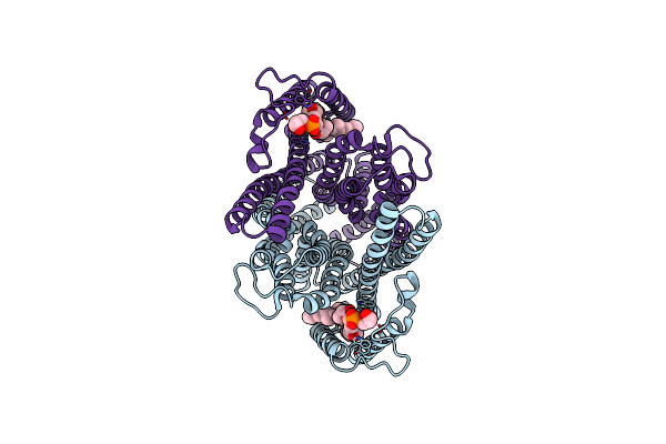 7P34 image