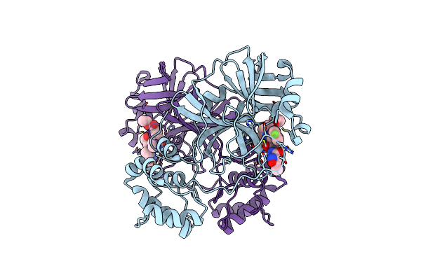 7P35 image