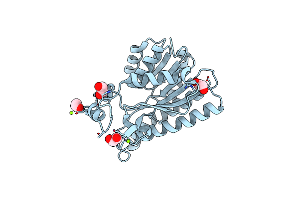 7P36 image