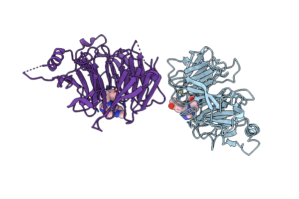 7P3G image
