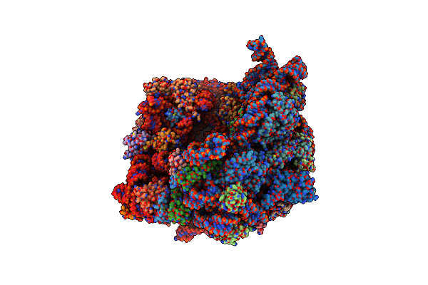 7P3K image