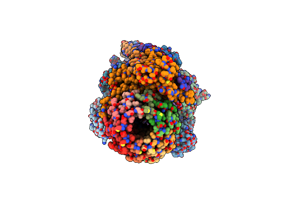 7P3N image