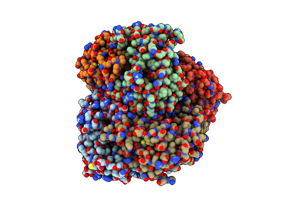 7P3T image