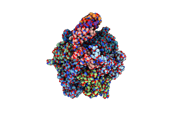 7P3W image