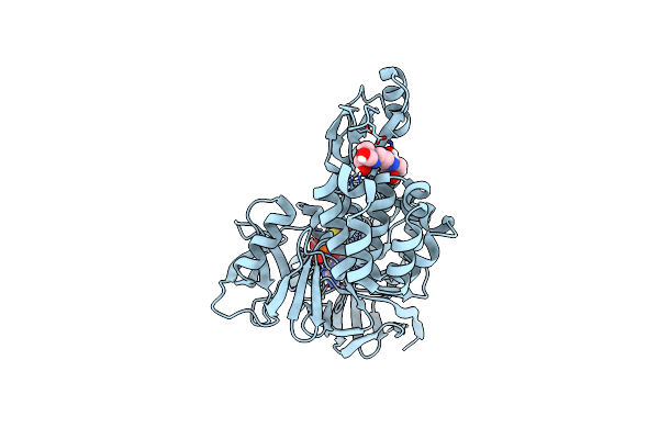 7P41 image