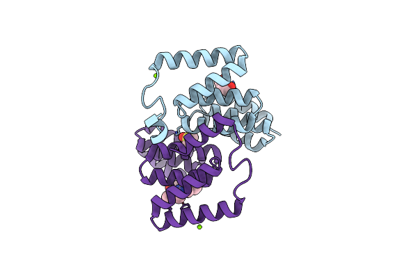 7P42 image