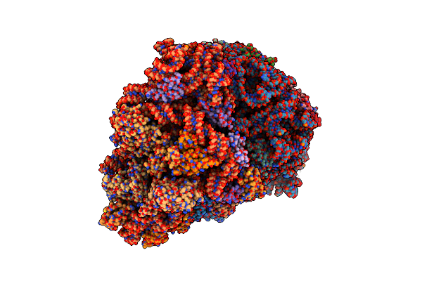 7P48 image
