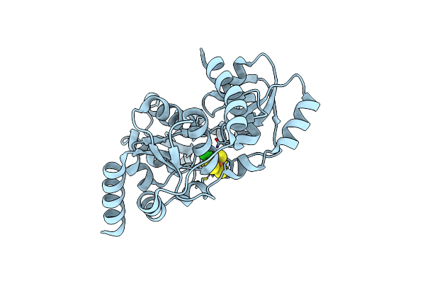 7P4M image