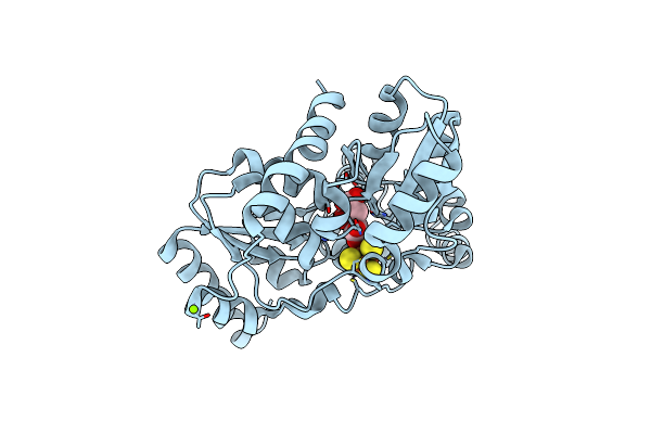 7P4P image