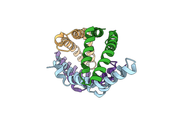 7P4T image