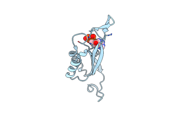 7P4V image
