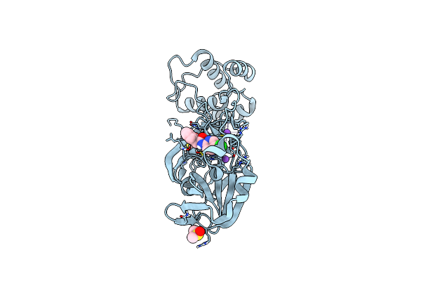 7P51 image