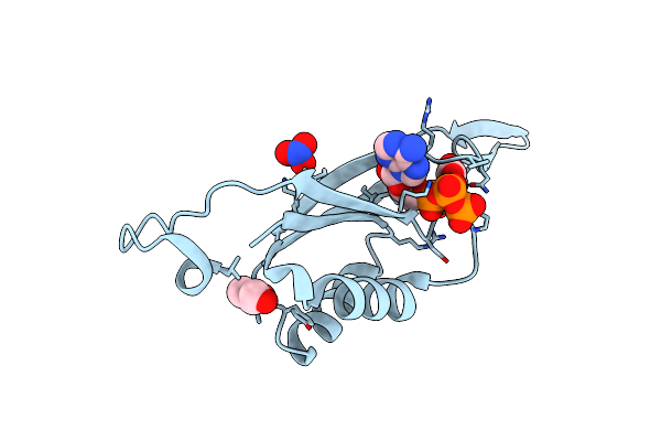 7P52 image