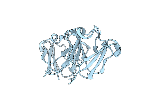 7P53 image