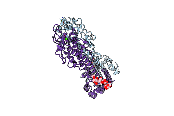 7P56 image