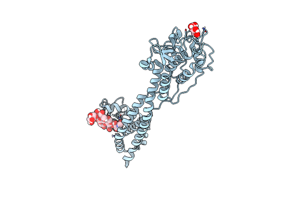 7P5B image