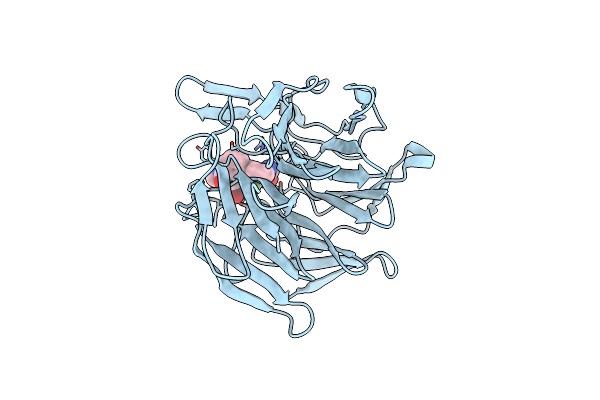 7P5E image