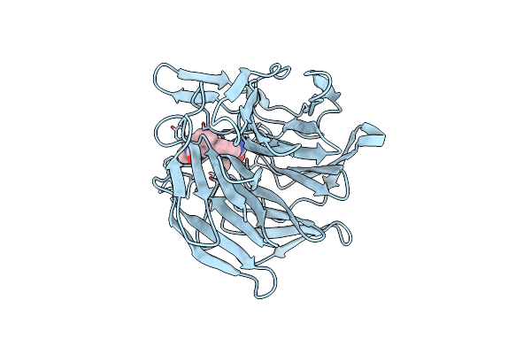 7P5F image