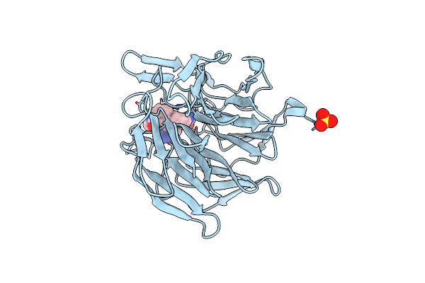 7P5I image