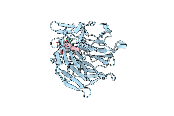 7P5K image