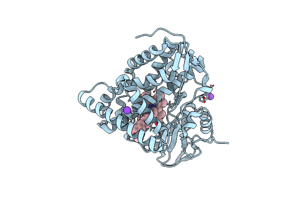 7P5T image