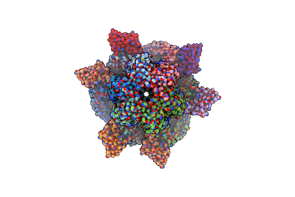 7P5Y image