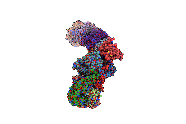 7P61 image