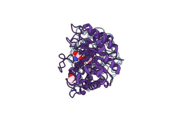 7P6G image