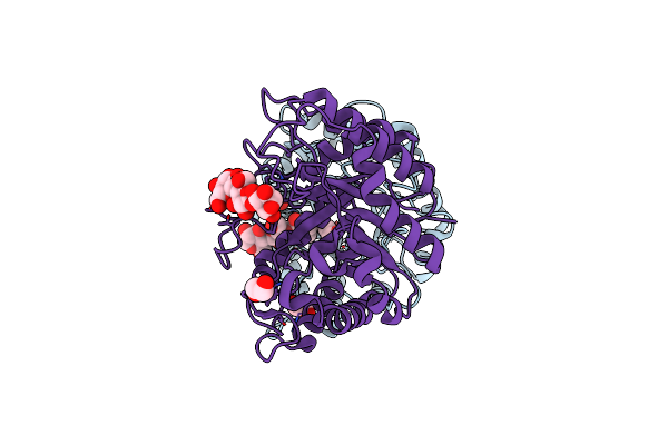 7P6H image