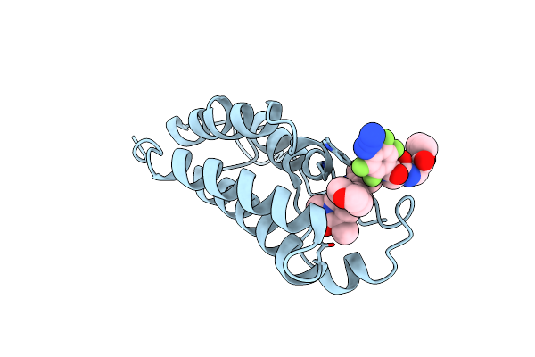 7P6V image