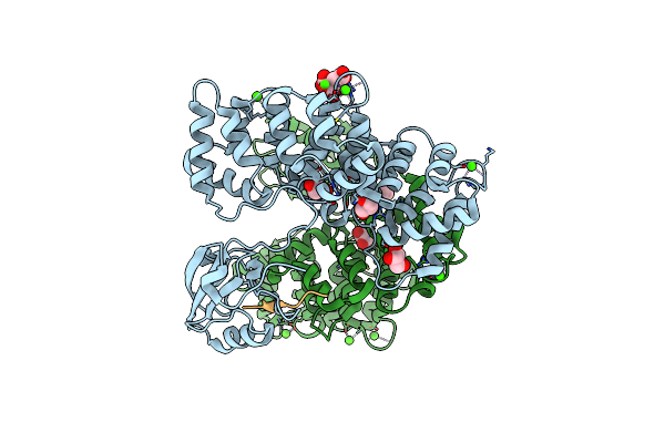7P71 image