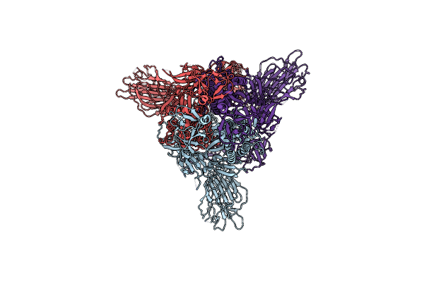 7P7B image
