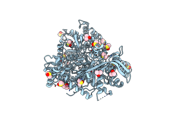7P7D image