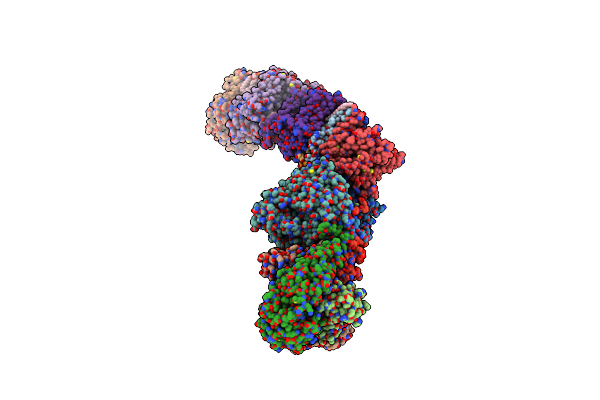 7P7E image