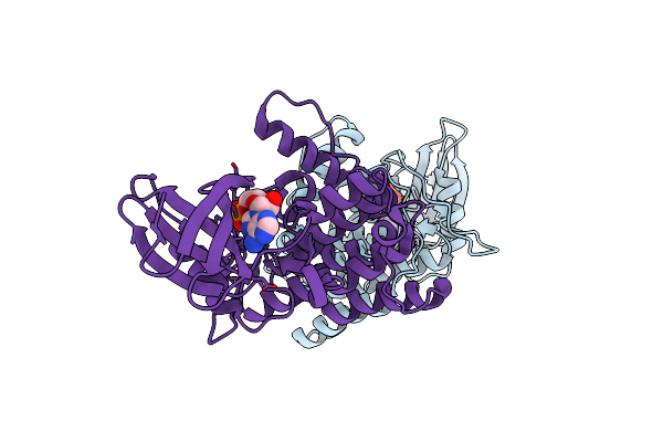 7P7H image