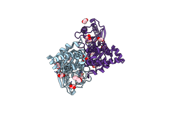 7P7I image