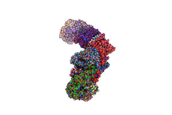 7P7M image