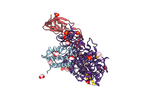 7P7N image