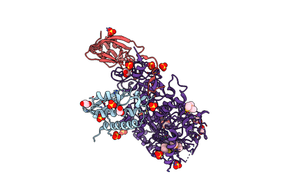 7P7O image