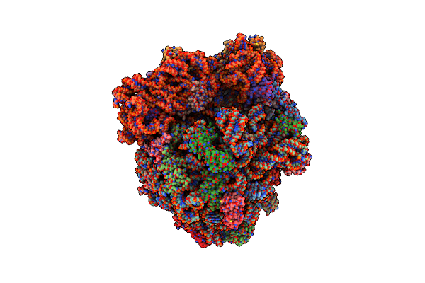 7P7R image