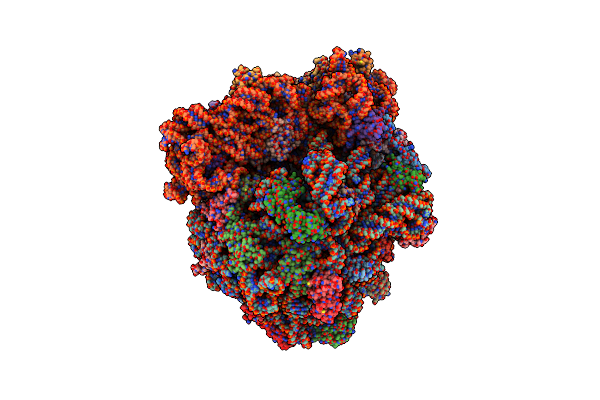 7P7T image