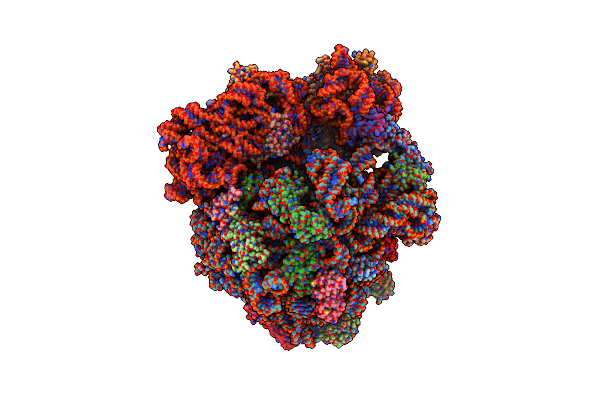 7P7U image