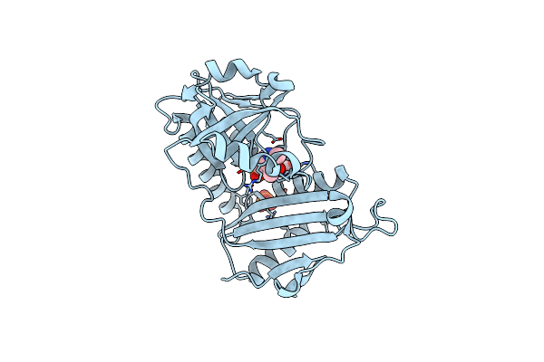 7P7X image