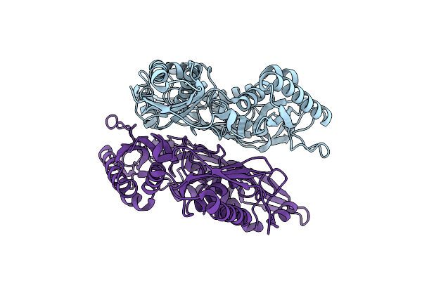 7P82 image